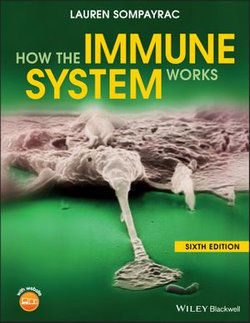 How the Immune System Works