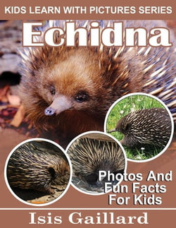 Echidna Photos and Fun Facts for Kids