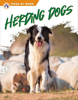 Dogs at Work: Herding Dogs