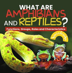 What are Amphibians and Reptiles? Functions, Groups, Roles and Characteristics | Grade 6-8 Life Science