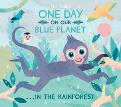 One Day On Our Blue Planet : In The Rainforest