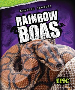 Rainbow Boas