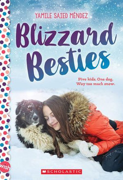 Blizzard Besties: A Wish Novel