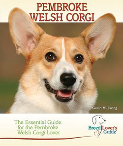 Pembroke Welsh Corgi