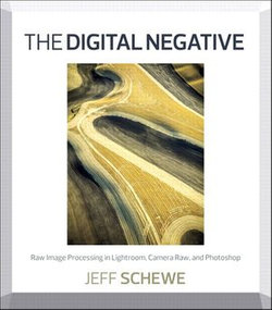The Digital Negative: Raw Image Processing in Lightroom, Camera Raw, and Photoshop