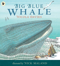 Big Blue Whale