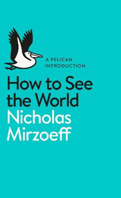 A Pelican Introduction: How to See the World