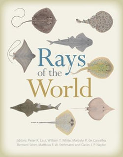 Rays of the World