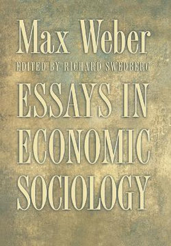 Essays in Economic Sociology