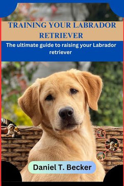 Training your Labrador retriever