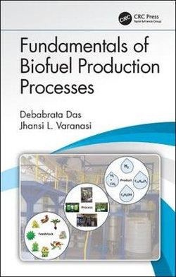 Fundamentals of Biofuel Production Processes