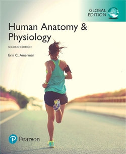 Human Anatomy and Physiology, Global Edition