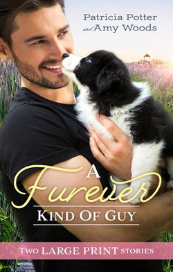 A Furever Kind Of Guy/The Soldier's Promise/An Officer and Her Gentleman