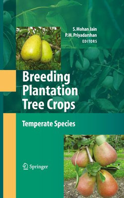 Breeding Plantation Tree Crops: Temperate Species