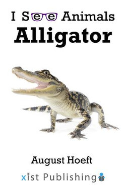 Alligator