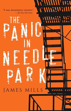 The Panic in Needle Park