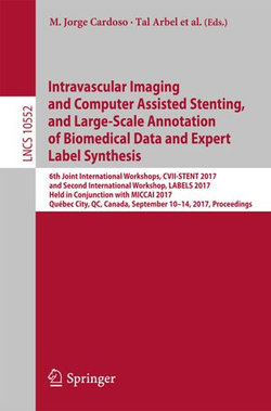 Intravascular Imaging and Computer Assisted Stenting, and Large-Scale Annotation of Biomedical Data and Expert Label Synthesis