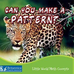 Can You Make a Pattern?