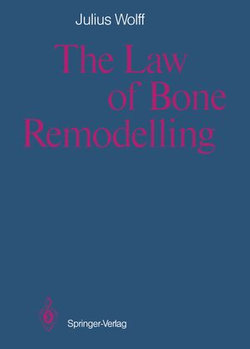 The Law of Bone Remodelling