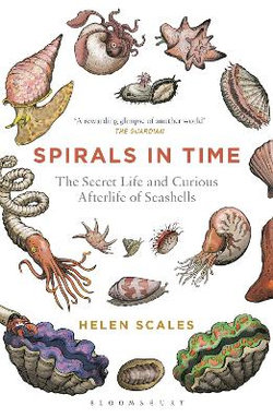 Spirals in Time