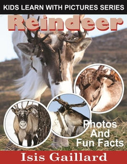 Reindeer: Photos and Fun Facts for Kids