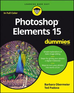 Photoshop Elements 15 For Dummies