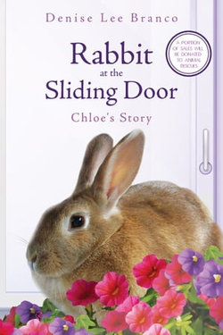 Rabbit at the Sliding Door