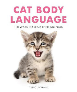 Cat Body Language : 100 Ways To Read Their Signals