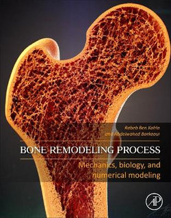 Bone Remodeling Process