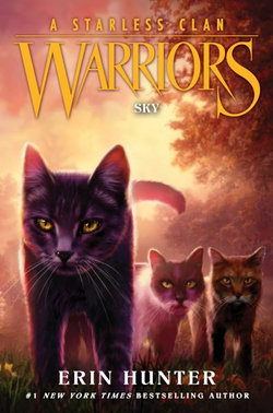 Warriors: A Starless Clan