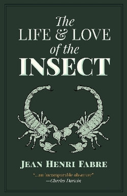 The Life and Love of the Insect