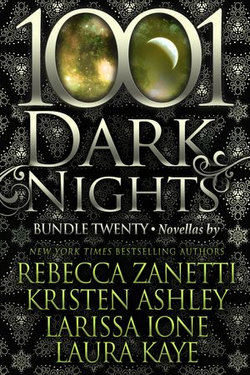 1001 Dark Nights: Bundle Twenty