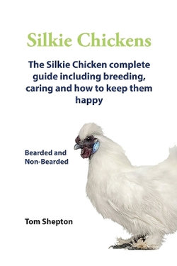 . Silkie Chickens. Silkie Chickens Care, Breeding,Eggs,Raising, Welfare And Keeping Them Happy.