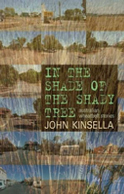 In the Shade of the Shady Tree