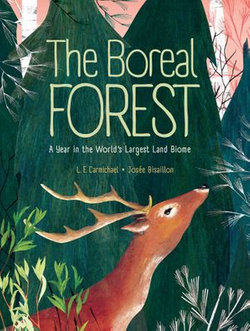 The Boreal Forest