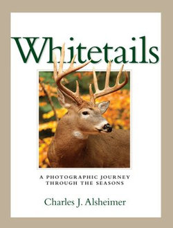 Whitetails