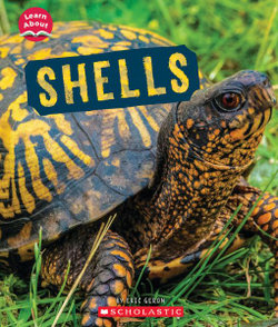 Shells (Learn about: Animal Coverings)