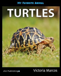 My Favorite Animal: Turtles