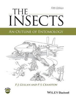 The Insects