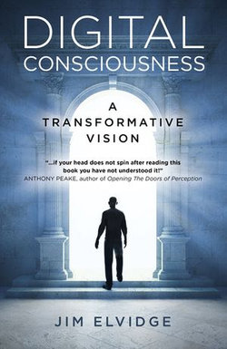 Digital Consciousness: A Transformative Vision