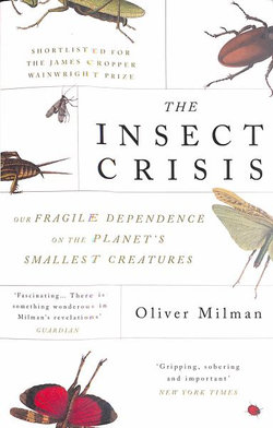 The Insect Crisis