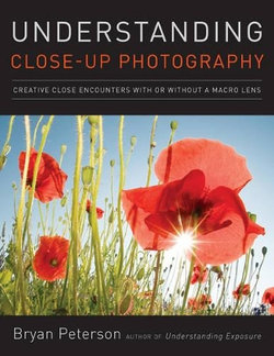 Understanding Close-up Photography