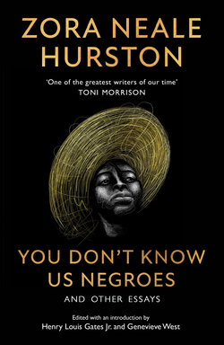 You Don't Know Us Negroes and Other Essays