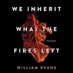 We Inherit What the Fires Left