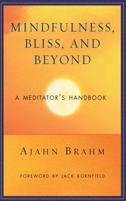 Mindfulness, Bliss, and Beyond