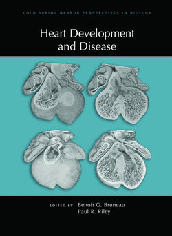 Heart Development and Disease