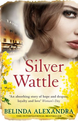 Silver Wattle