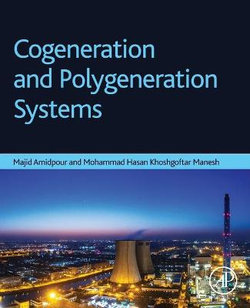 Cogeneration and Polygeneration Systems