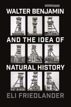 Walter Benjamin and the Idea of Natural History