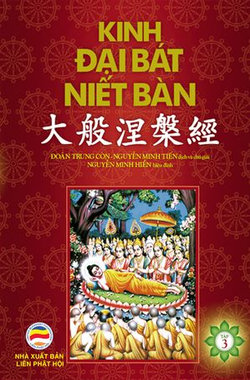 Kinh Đại Bát Niết-bàn: Tập 3